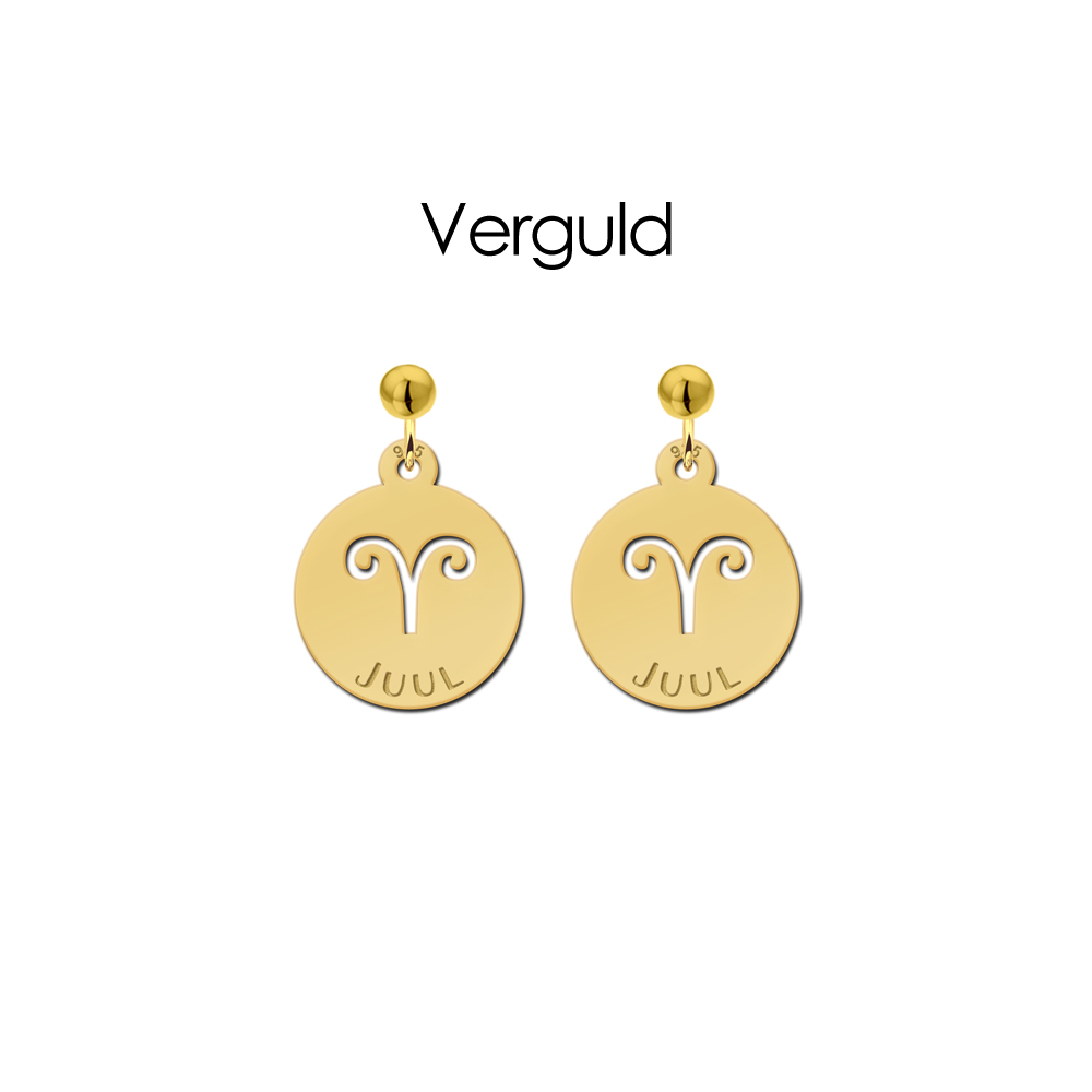 Silver zodiac earrings round