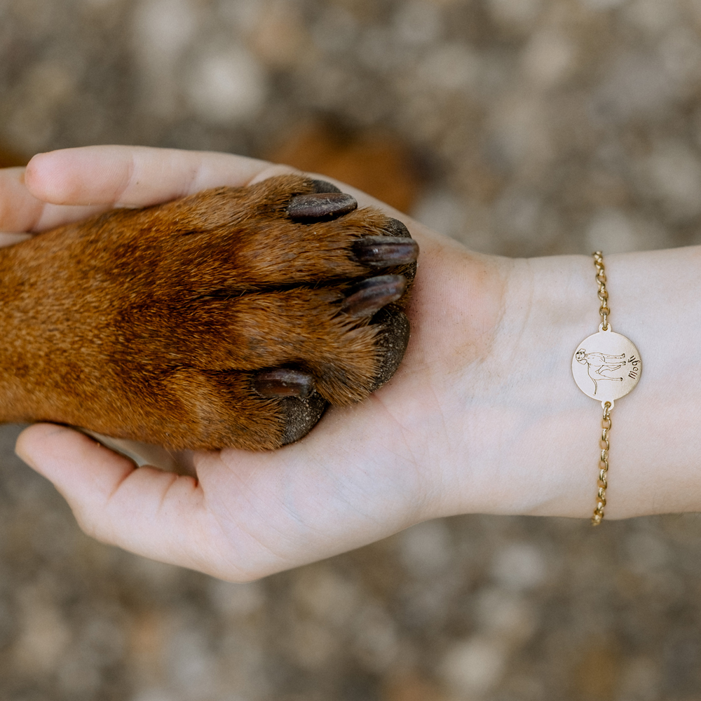 Gold bracelet with dog portrait Staffordshire Bull Terrier