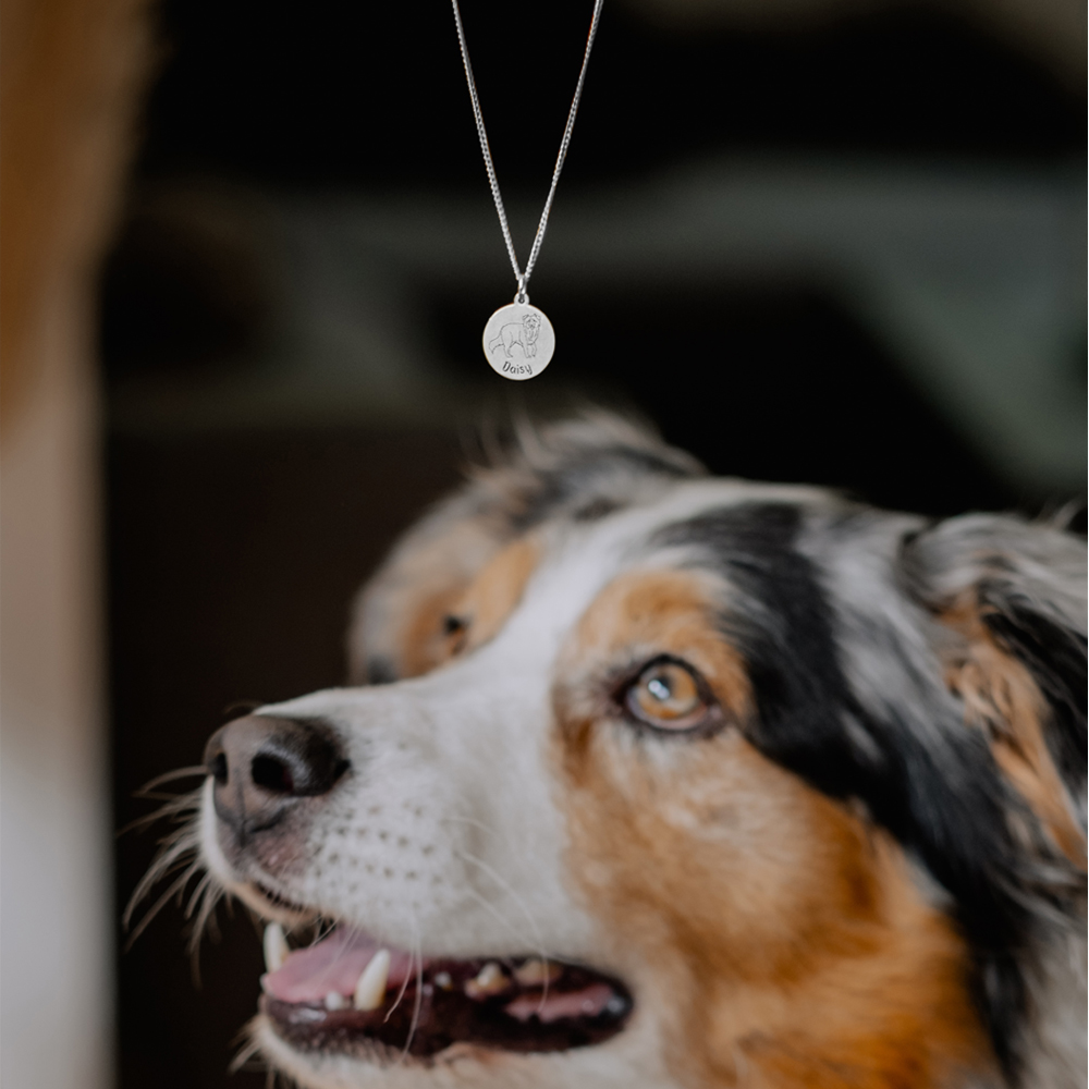 Silver necklace with engraving Husky