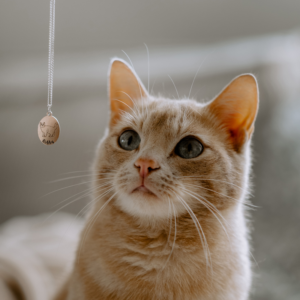 Personalised cat pendant Norwegian Forest cat silver