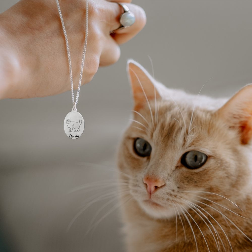 Silver cat necklace with name Maine Coon