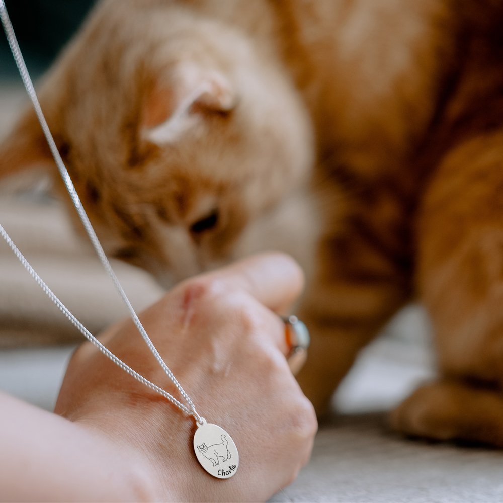 Silver cat necklace with name Maine Coon