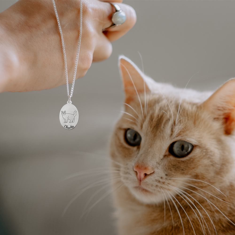 Silver pendant with cat portrait European Shorthair