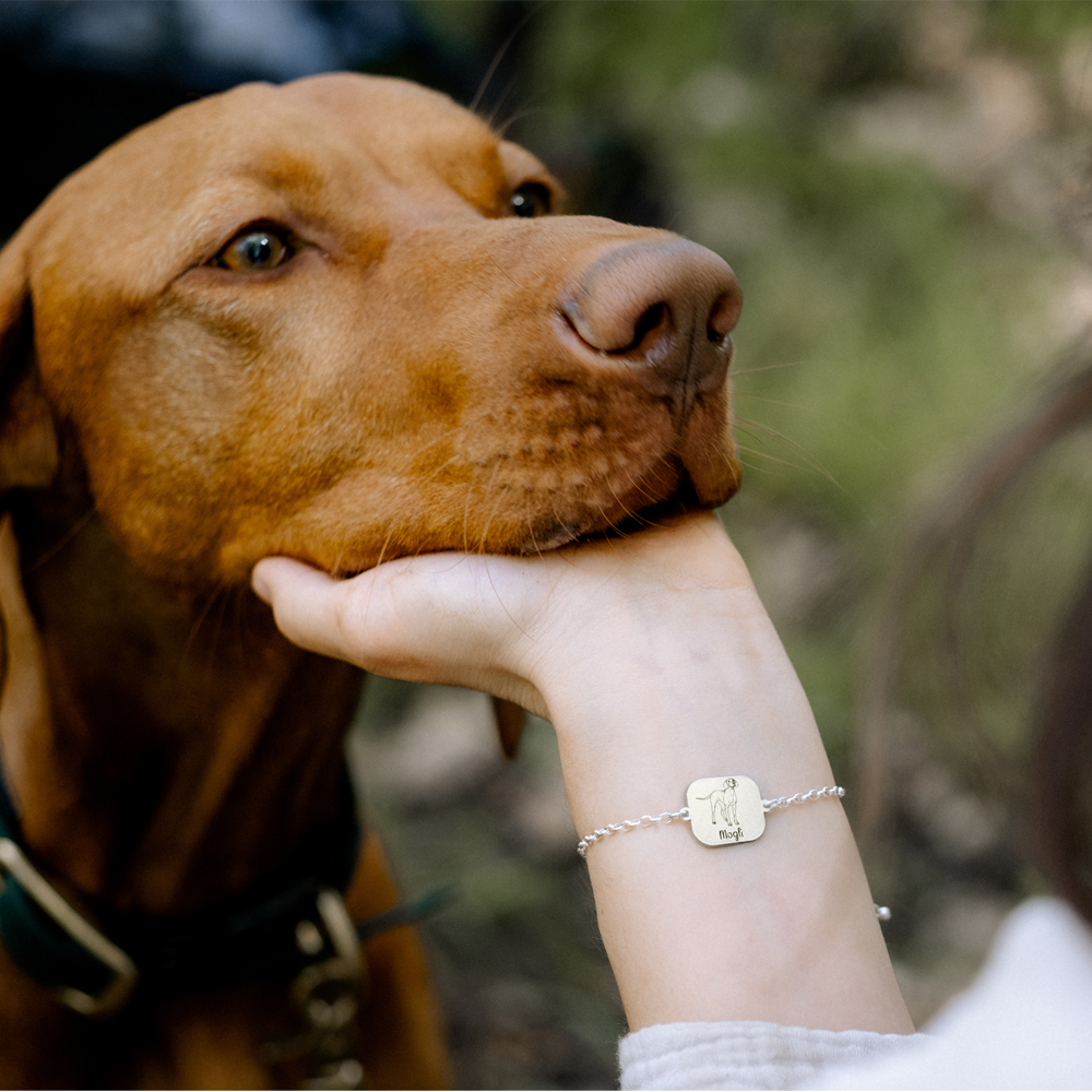 Silver bracelet with dog Golden Retriever