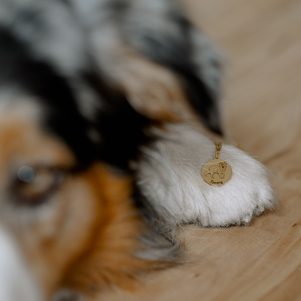 Gold necklace with name engraving own dog Australian Shepherd