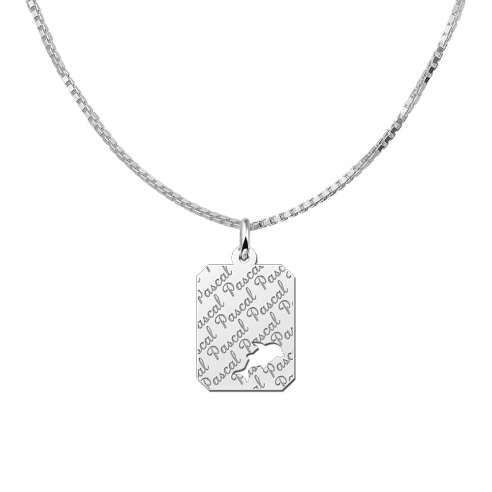 Silver Nametag with Dolphin, Rectangle With Repeated Engravings
