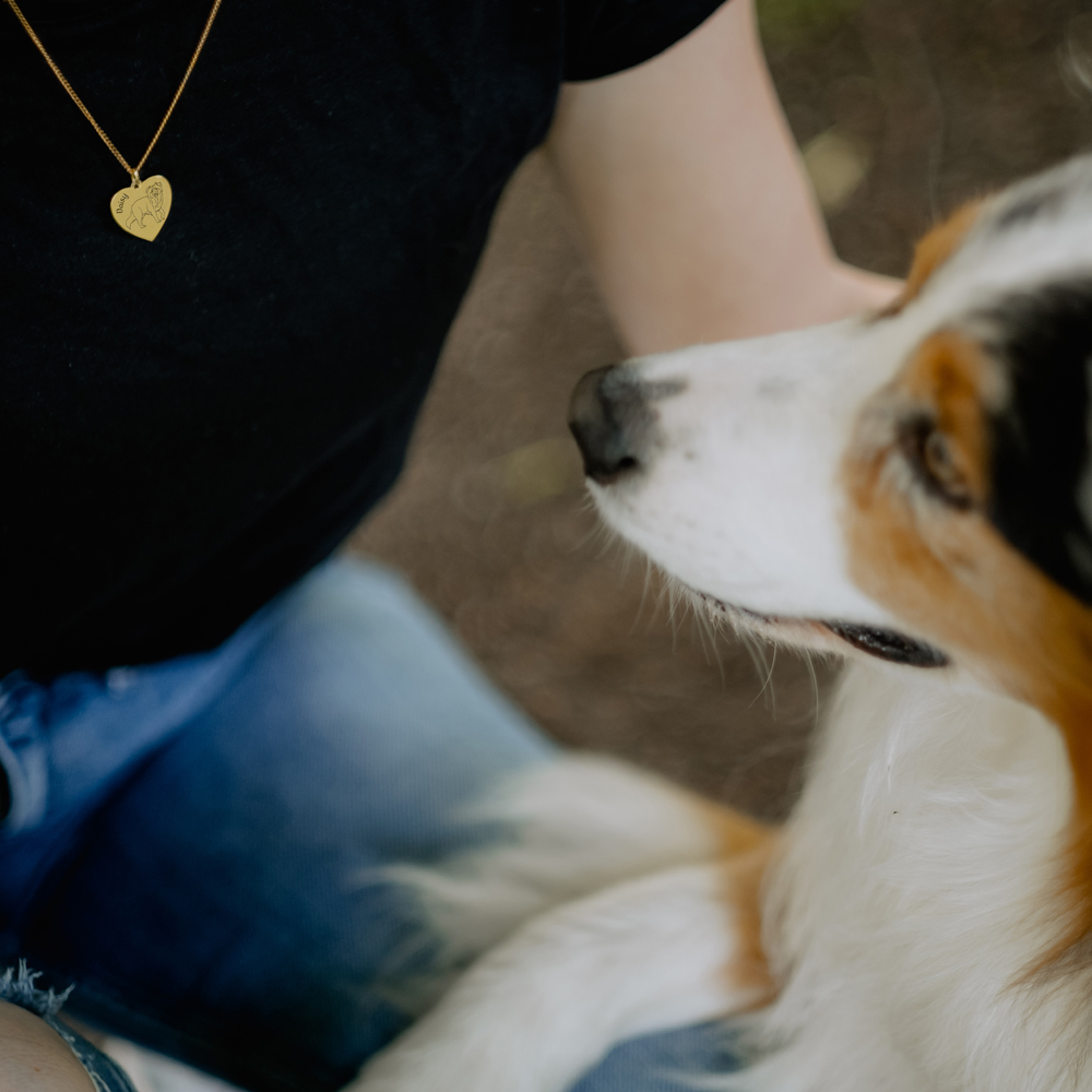 Dog breeds gold necklace Samoyed