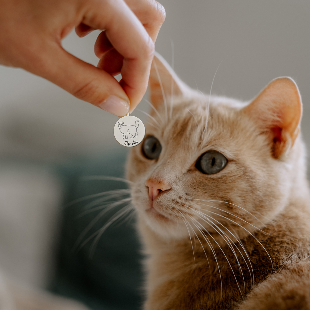 Necklace with cat Russian Blue zilver