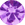Purple Zirconia