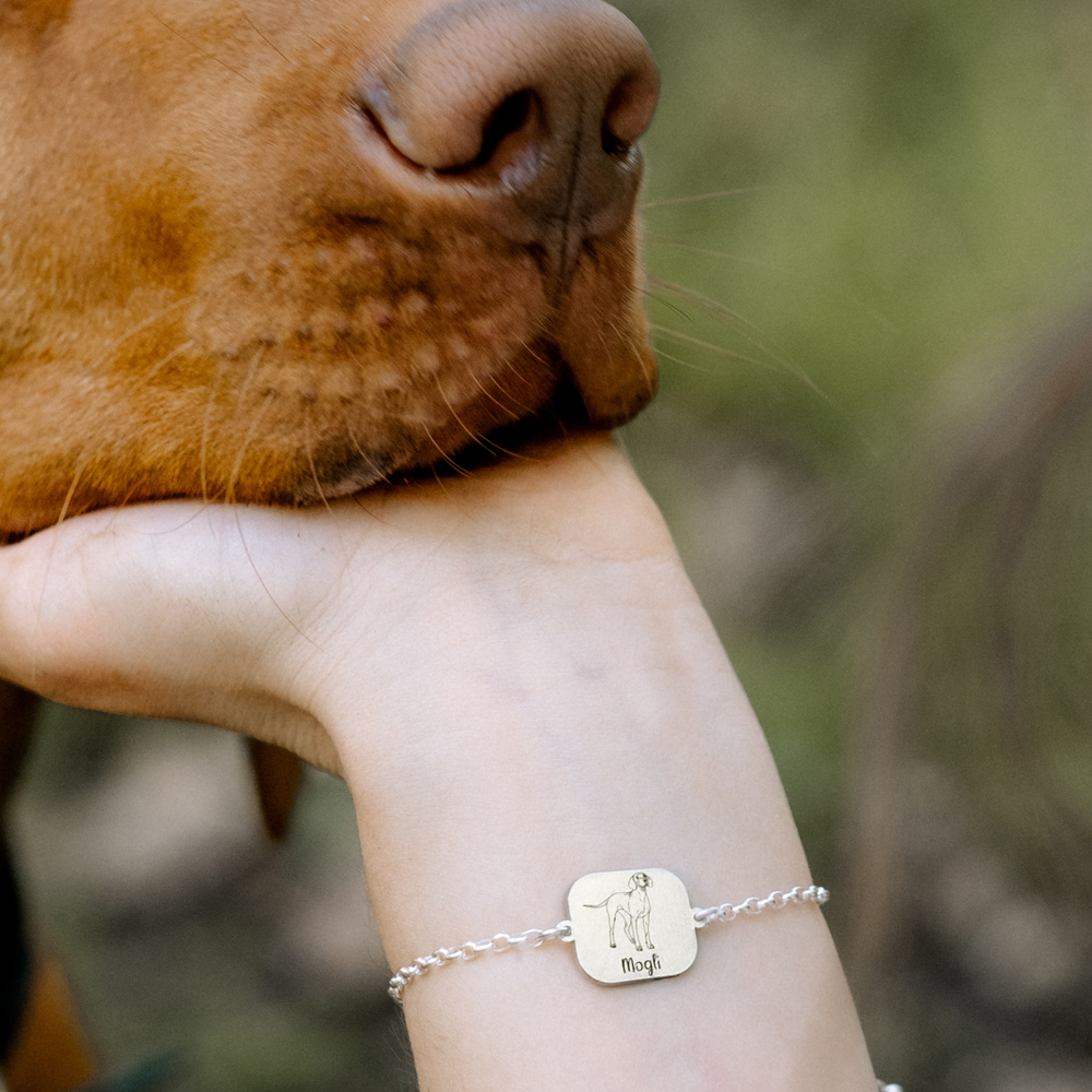 Silver portrait dog bracelet pug
