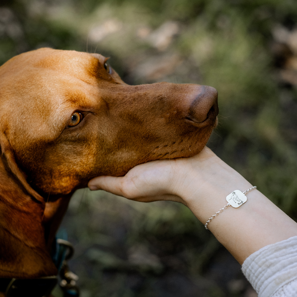 Silver portrait dog bracelet pug