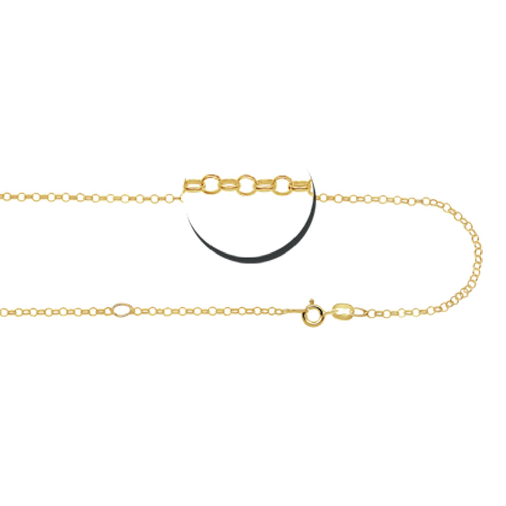 Golden Jasseron Necklace 45-50 cm