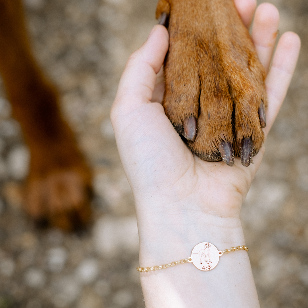 Gold bracelet with name engraving dog Pitbull