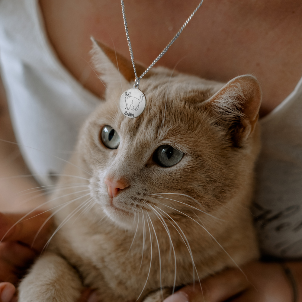 Silver necklace with cat pendant Abyssinian