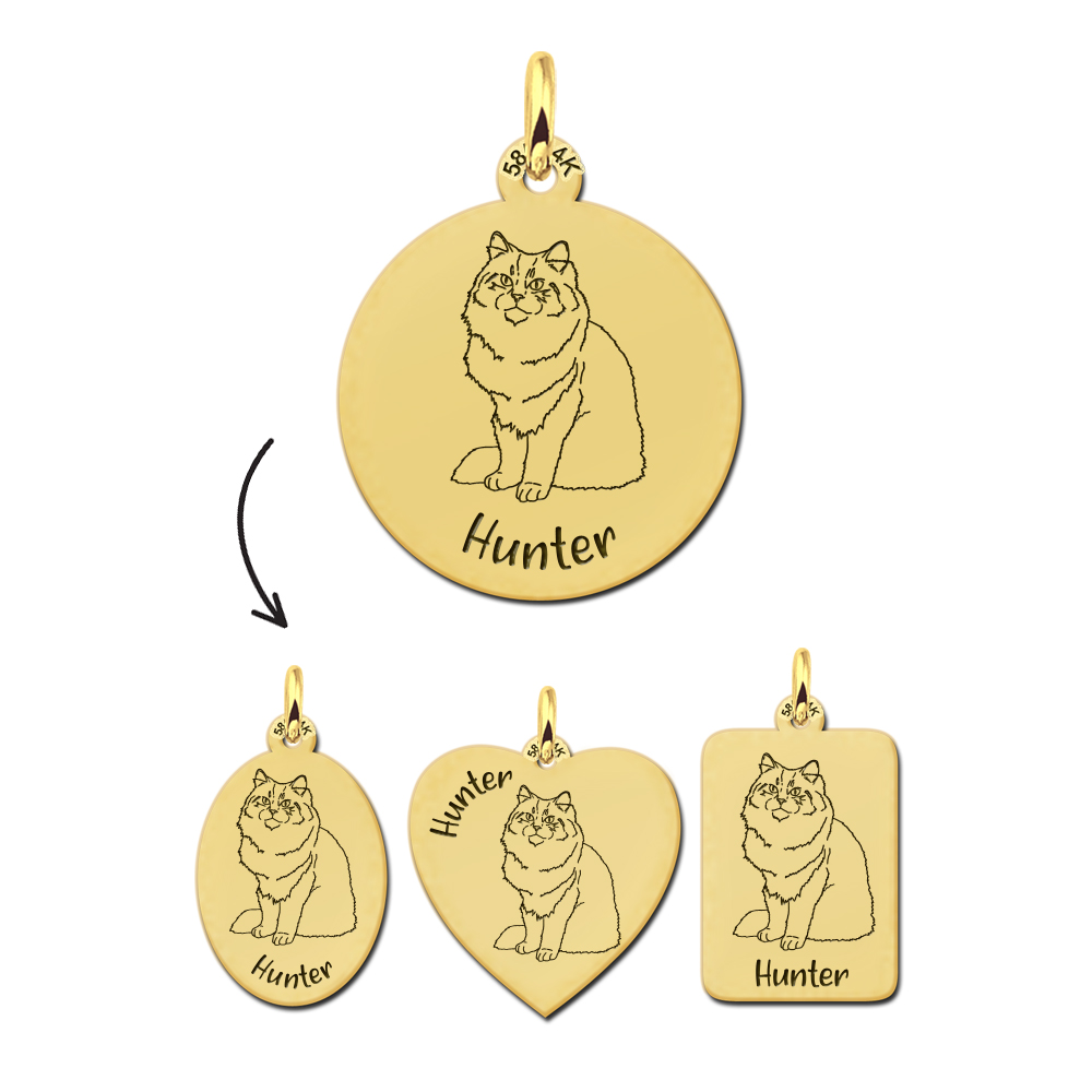 Gold necklace cat Siberian cat