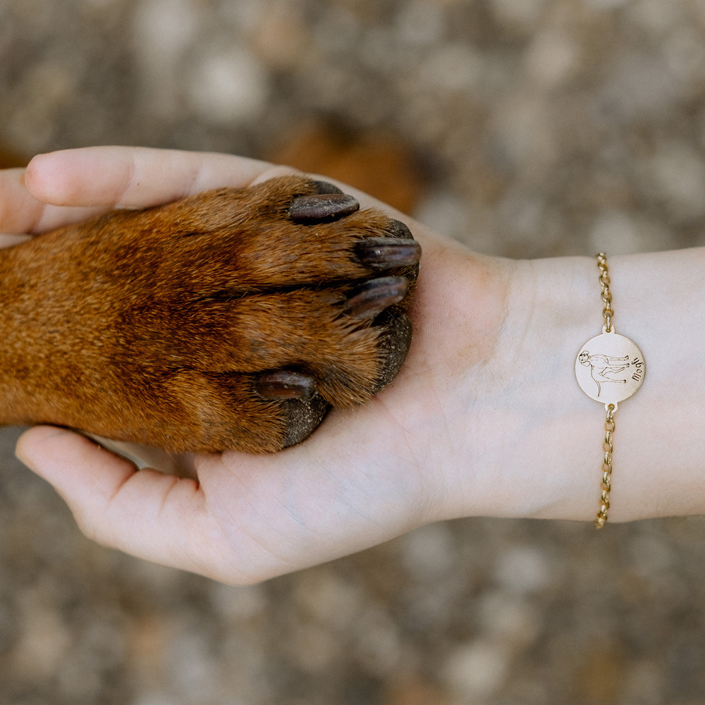 Gold dog bracelet Mastiff