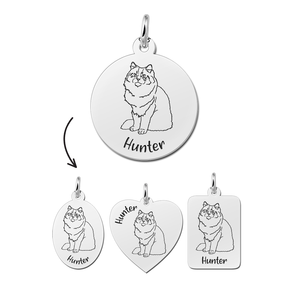 Silver necklace cat Siberian cat