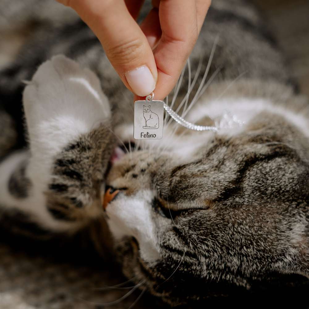 Silver cat pendant American Shorthair