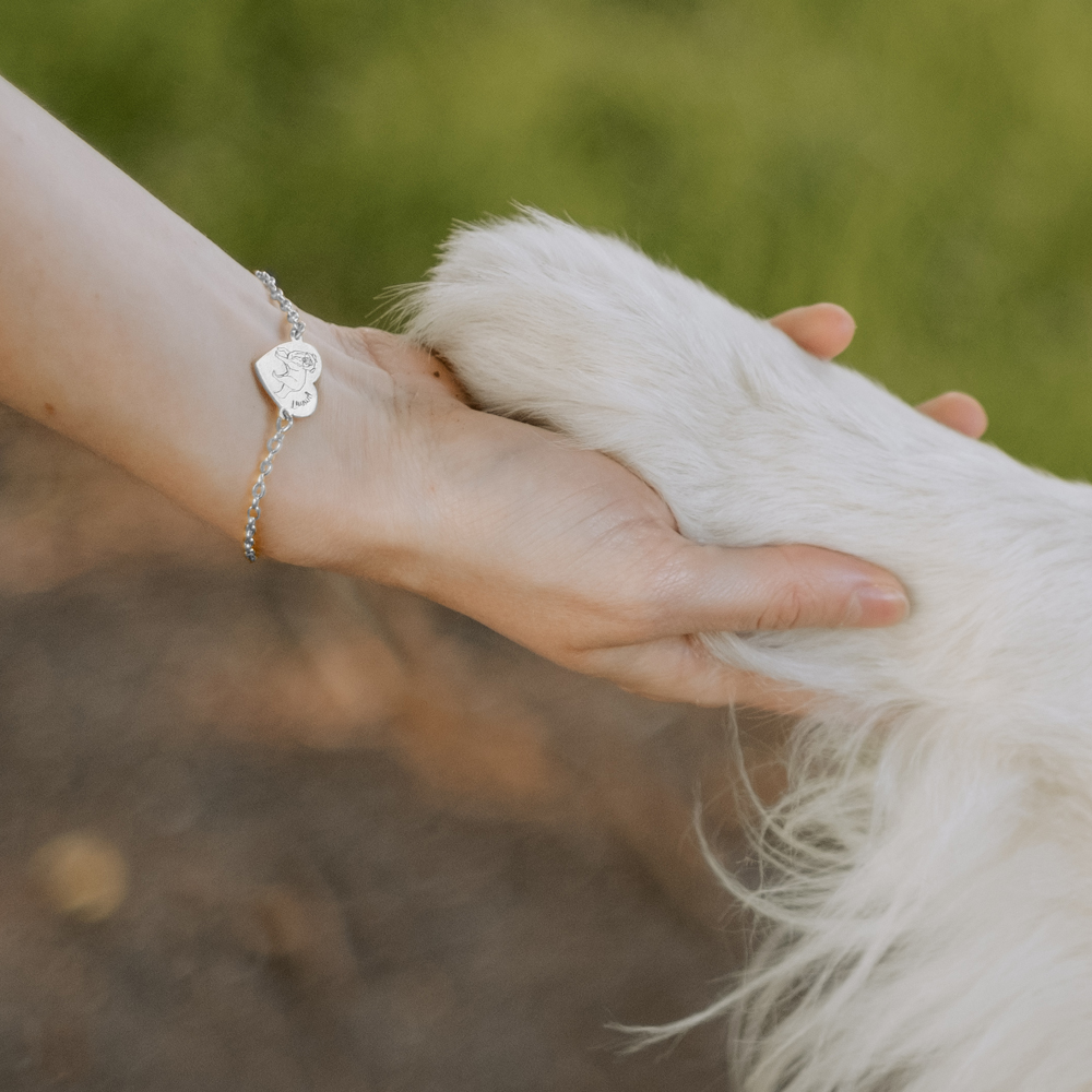 Silver dog bracelet with name Border Collie