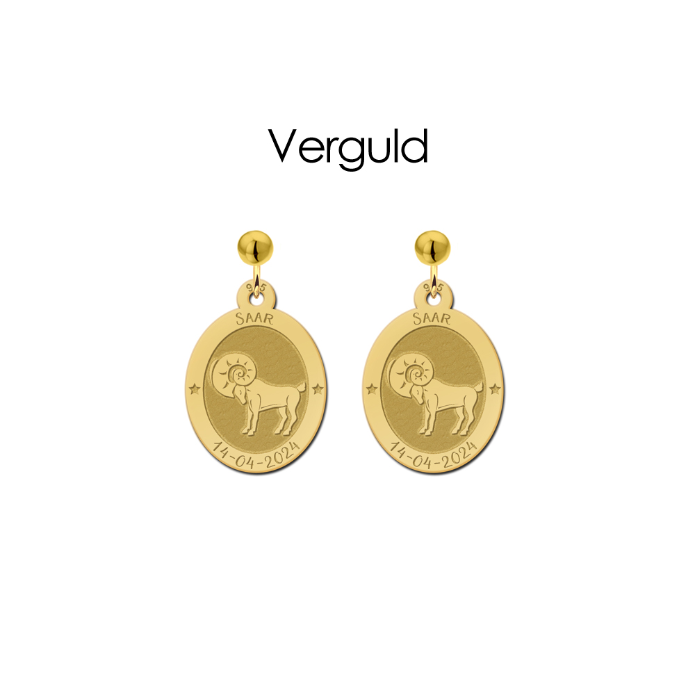 Silver zodiac earrings oval