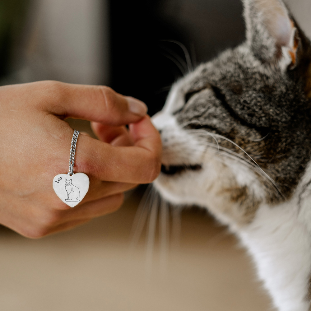 Silver pendant cat with engraving Birman