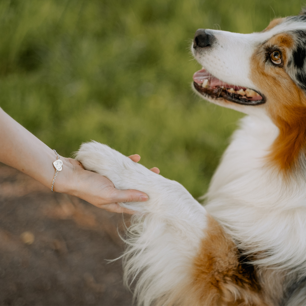 Silver portrait bracelet Corgi